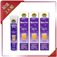 【SUNLIFE 森萊富】鎂Mg+B6維他命發泡錠(橘子口味 x 3入組/共60錠)