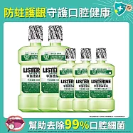 李施德霖 綠茶防蛀護齦漱口水(5件組) (750ml x2+250ml x3)