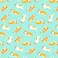 日本Pikka Pikka世界最細纖維毛孔潔淨布/限量聯名hopnbounce_柯基犬