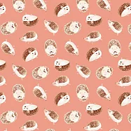 日本Pikka Pikka世界最細纖維毛孔潔淨布/限量聯名hopnbounce_刺蝟