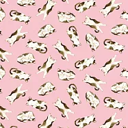 日本Pikka Pikka世界最細纖維毛孔潔淨布/限量聯名hopnbounce_貓咪