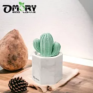 【OMORY】多肉植物盆栽造型擴香石- 大理石