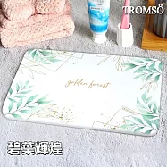 TROMSO珪藻土20X30吸水杯墊盤-碧葉輝煌