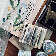 【 羊君 somesortof.fern 】 蒲雪 Dandelion|PET膠帶