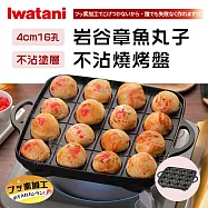 【Iwatani岩谷】新章魚丸子不沾章魚燒烤盤-16孔(CB-A-TKP)