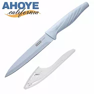 【AHOYE】24CM高碳鋼水果刀 (露營刀 蔬果刀)