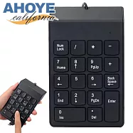 【AHOYE】輕薄好按有線數字鍵盤 (小鍵盤)