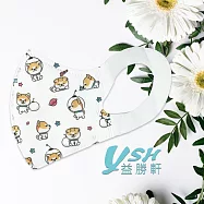 YSH益勝軒 幼幼1-4歲 3D 醫療 立體口罩-台灣製 符合國家標準(2024新花色) 太空柴柴(50入/盒)