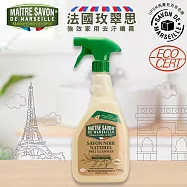 法國玫翠思黑肥皂強效家用去汙噴霧 750ML