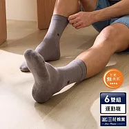 【三花】無痕肌毛巾底運動襪(6雙組)襪子 男襪 中灰