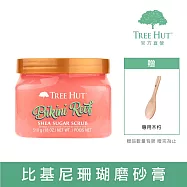 【TREE HUT樹上小屋】乳木果蜜糖身體磨砂膏510g (比基尼珊瑚)