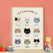 我的刺繡練習布──可愛貓咪大集合(附超值全材料包套組，含完整教學影片+原寸繡圖)