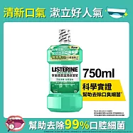 李施德霖溫潤綠薄荷無酒精漱口水750ml