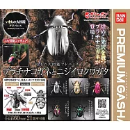 【日本正版授權】全套5款 生物大圖鑑 進擊 寶石金龜與彩虹鍬形蟲 扭蛋/轉蛋 白金甲蟲/昆蟲模型/昆蟲之王 681172
