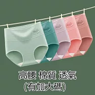 【唯密色】大碼-高腰棉質女客製內褲@Z65 2XL 膚色