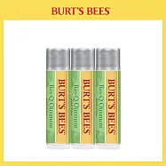 Burt’s Bees 神奇草本修護棒4.25g 3入組