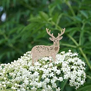 麥麥動物園-臺灣梅花鹿(紙書籤) 3件/組 棕色