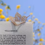 麥麥動物園-黃鳳蝶(紙書籤) 3件/組 棕色