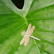 麥麥動物園-無霸勾蜓(紙書籤) 3件/組 棕色