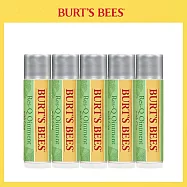 Burt’s Bees 神奇草本修護棒4.25g 5入組