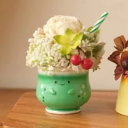 【日本Green House】喫茶店 甜點裝飾小花盆 ‧ 奶油蘇打