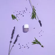 SHIFT韓國蓮蓬頭專用維生素香氛膠囊 茶樹薰衣草