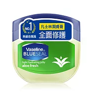 Vaseline凡士林潤膚膏100ml 蘆薈香味