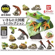 【日本正版授權】小全套4款 生物大圖鑑迷你集合 兩棲類 P2 扭蛋/轉蛋 847707 紅眼樹蛙/蘇利南角蛙/紅腹蠑螈 動物模型