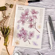 【conifer綠的事務】2026-25K跨年月計畫筆記本組 雨色