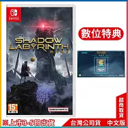 NS《闇鬥迷宮》中文一般版[台灣公司貨]