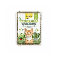 竣寶 新鮮貓草盒裝 DIY 100g/盒 田園草甸味大麥貓草