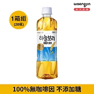 韓國熊津 大麥飲500ml (20瓶)