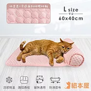 貓本屋 冰豆豆涼感 靠枕寵物睡墊 L號(60x40cm) 粉紅