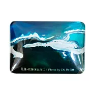 翡冷翠文創齊柏林立體磁鐵|《花蓮.花蓮溪出海口》【看見台灣周邊商品】