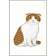 【日本Greeting Life】米津祐介 插畫明信片 ‧ 蘇格蘭摺耳貓