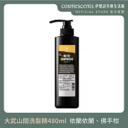 【伊聖詩】大武山間洗髮精480ml .FIG COSMETIC