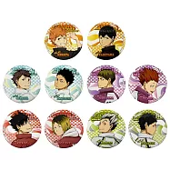 【日本正版授權】全套10款 排球少年 金屬徽章 回眸看系列 日本製 別針/胸章 087011 日向翔陽/影山飛雄/及川徹/岩泉一/牛島若利/天童覺