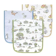 美國 Copper Pearl 時尚拍嗝巾3件組(迪士尼系列)- 維尼森林