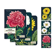 美國 Cavallini 口袋筆記本3入組 _芍藥花