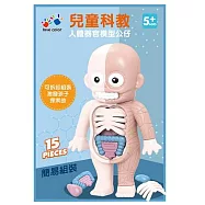 樂彩森林 兒童科教人體器官模型公仔