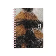 KOKUYO Campus軟線圈10週年限定筆記本方眼 A6-三花貓