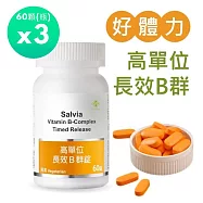 【SALVIA】Salvia高單位長效B群錠(純素)3瓶共180顆