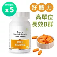 【SALVIA】Salvia高單位長效B群錠(純素)5瓶共300顆