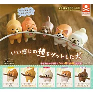 【日本正版授權】全套5款 動物愛好系列 狗狗撿到一根好棍子 扭蛋 轉蛋 717346 柴犬 黃金獵犬 獅子狗 柯基 臘腸犬 Stand Stones