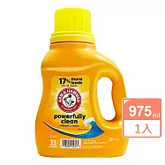 美國原裝進口Arm&Hammer強效濃縮洗衣精加小蘇打33oz/975ml