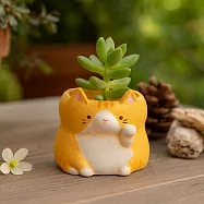 【日本Green House】招福貓咪 裝飾小盆栽 ‧ 橘貓