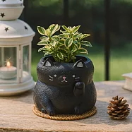 【日本Green House】招福貓咪 裝飾小盆栽 ‧ 黑貓