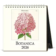 美國 Cavallini &Co. 2026 桌曆/月曆 _Botanica
