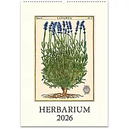 美國 Cavallini &Co. 2026 掛曆/月曆 _Herbarium