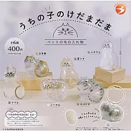 【日本正版授權】全套6款 我家毛孩 透明吊飾 扭蛋/轉蛋 504468